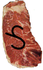 RIBEYE.gif (12871 bytes)