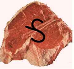 T-BONE1.jpg (6876 bytes)