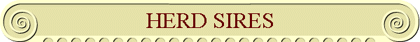 HERD SIRES