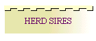 HERD SIRES