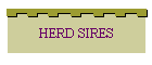 HERD SIRES