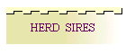 HERD  SIRES