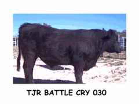 BATTLE%20CRY%20030%203.jpg (10487 bytes)